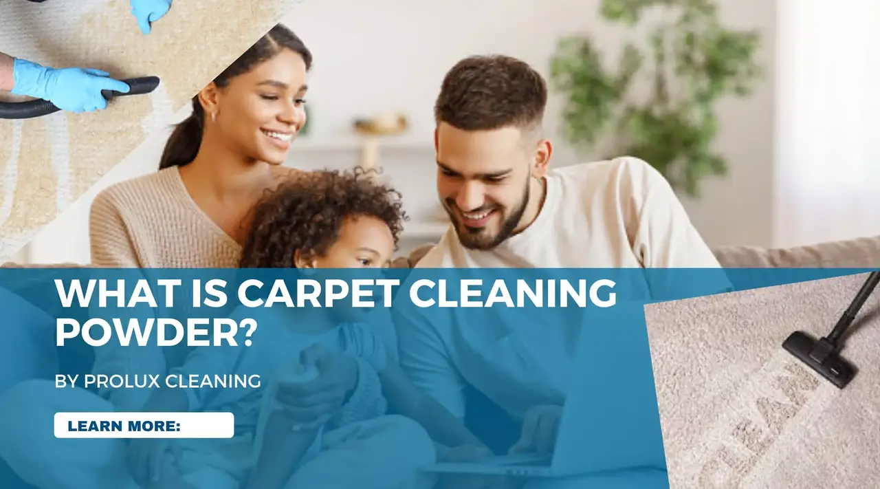 What is Carpet Cleaning Powder ProLux Cleaning Company