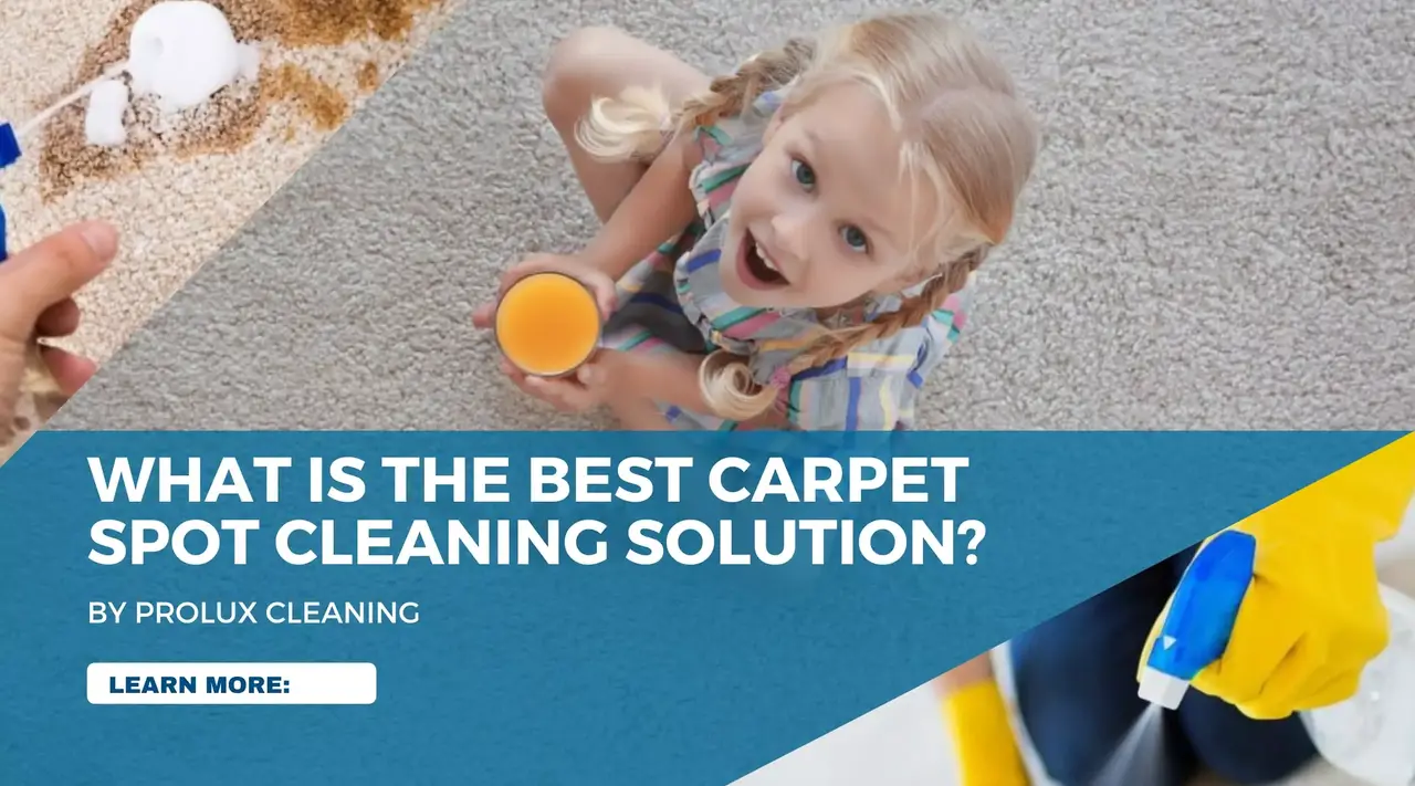 What is the Best Carpet Spot Cleaner Solution? ProLux Cleaning