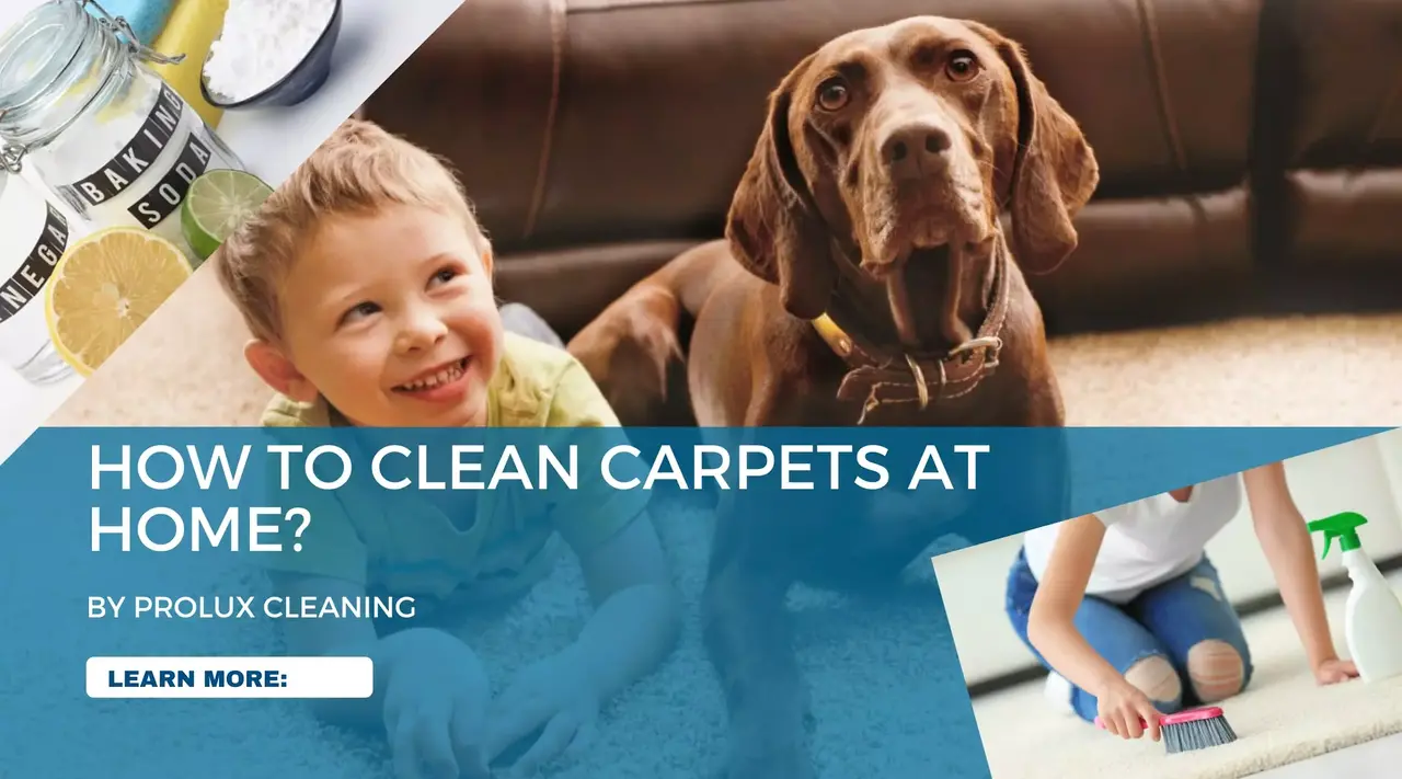 Carpet Cleaning tools at home