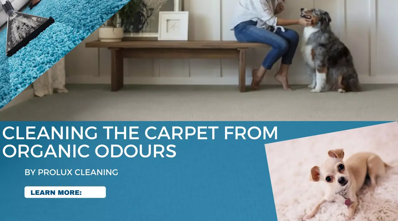 Carpet cleaning from odors