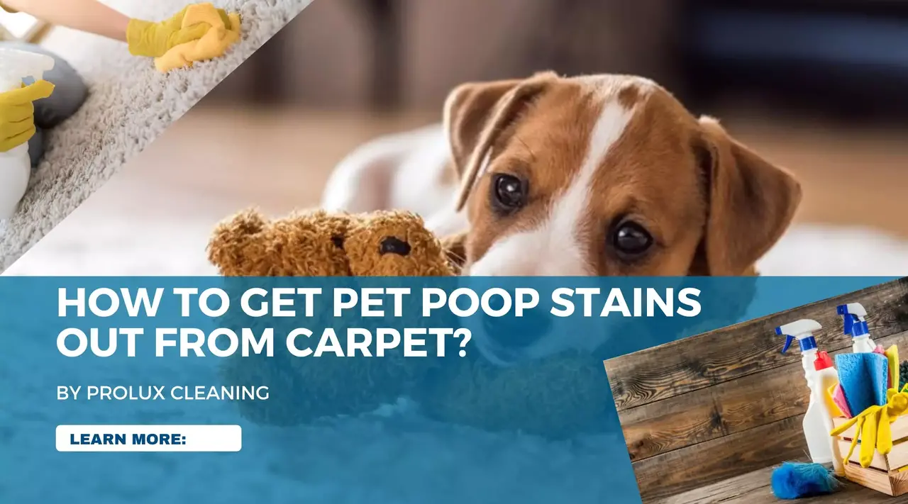 How to clean pet diarrhea from carpet