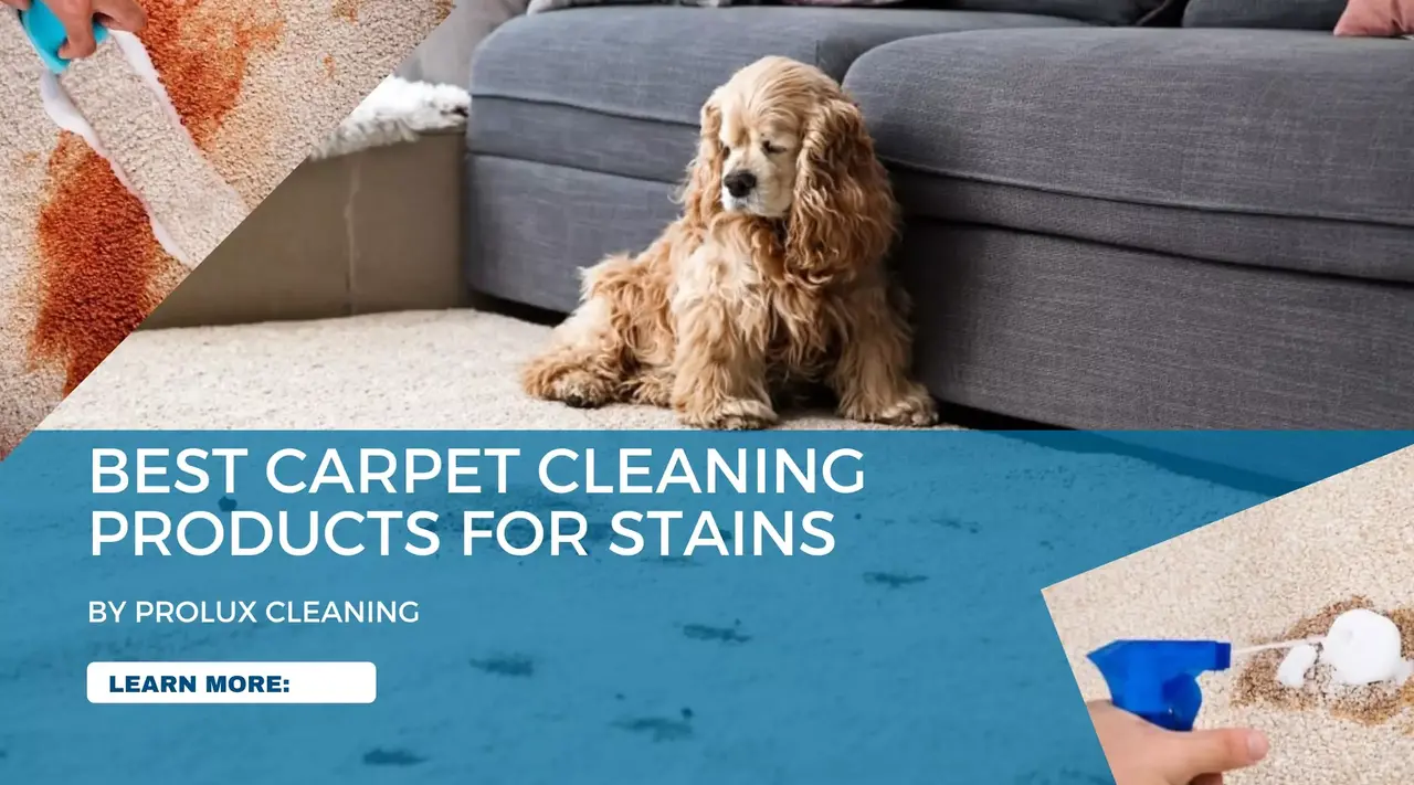 Best carpet cleaning for stains