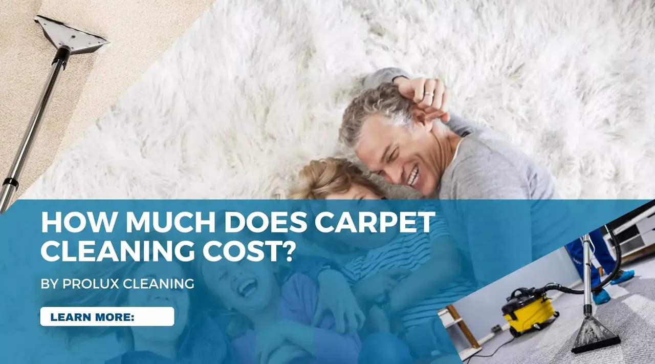 Average Cost of Professional Carpet Cleaning