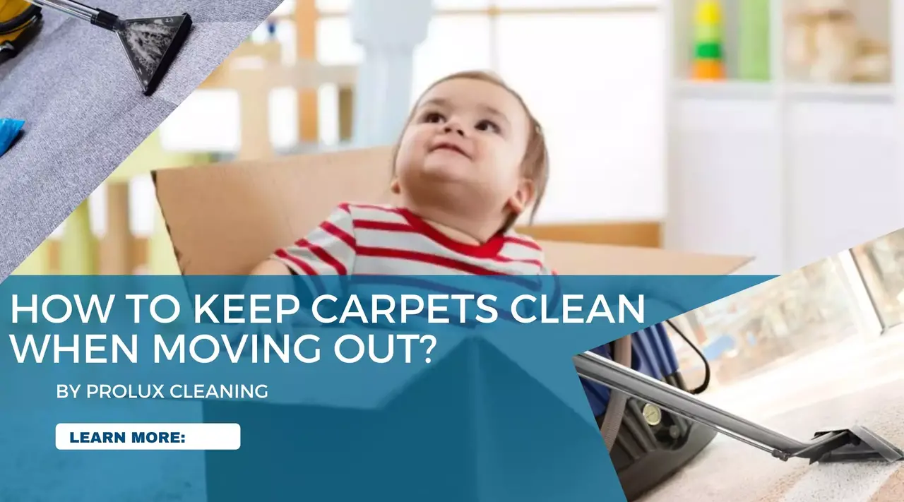 How to keep carpet clean when moving out