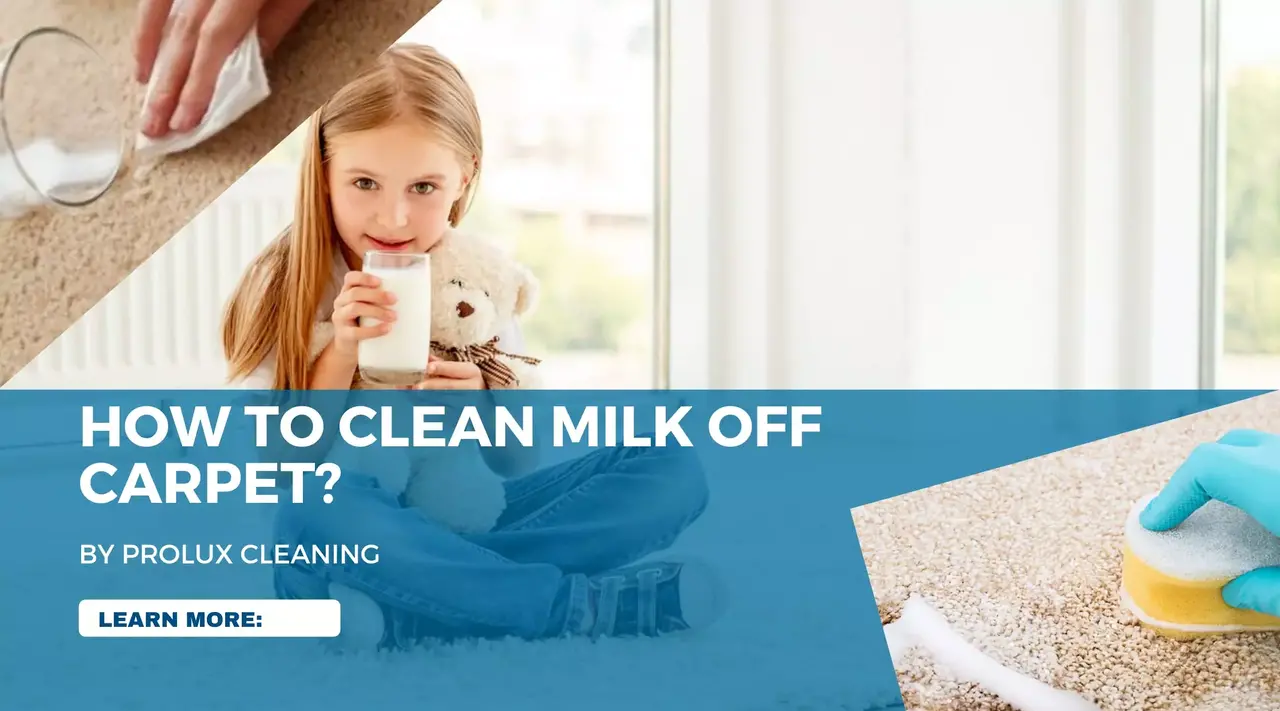 How to clean milk off carpet