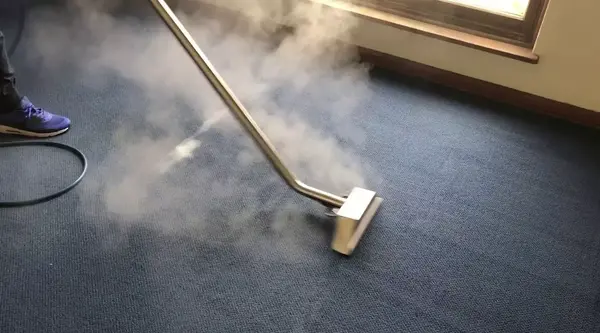 Carpet Cleaning and Fleas Does It Really Work