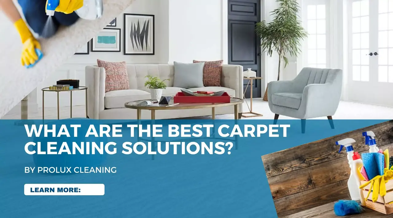 What are the Best Carpet Cleaning Solutions? ProLux Cleaning