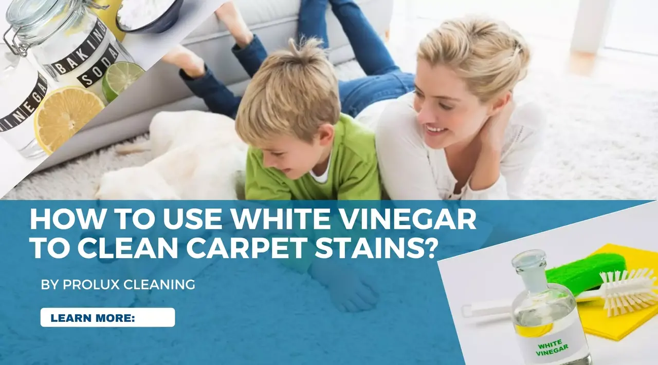 How to use white vinegar to clean carpet stains
