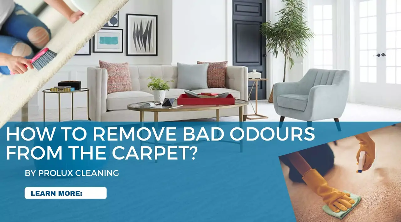 How to eliminate offensive odor from the carpet