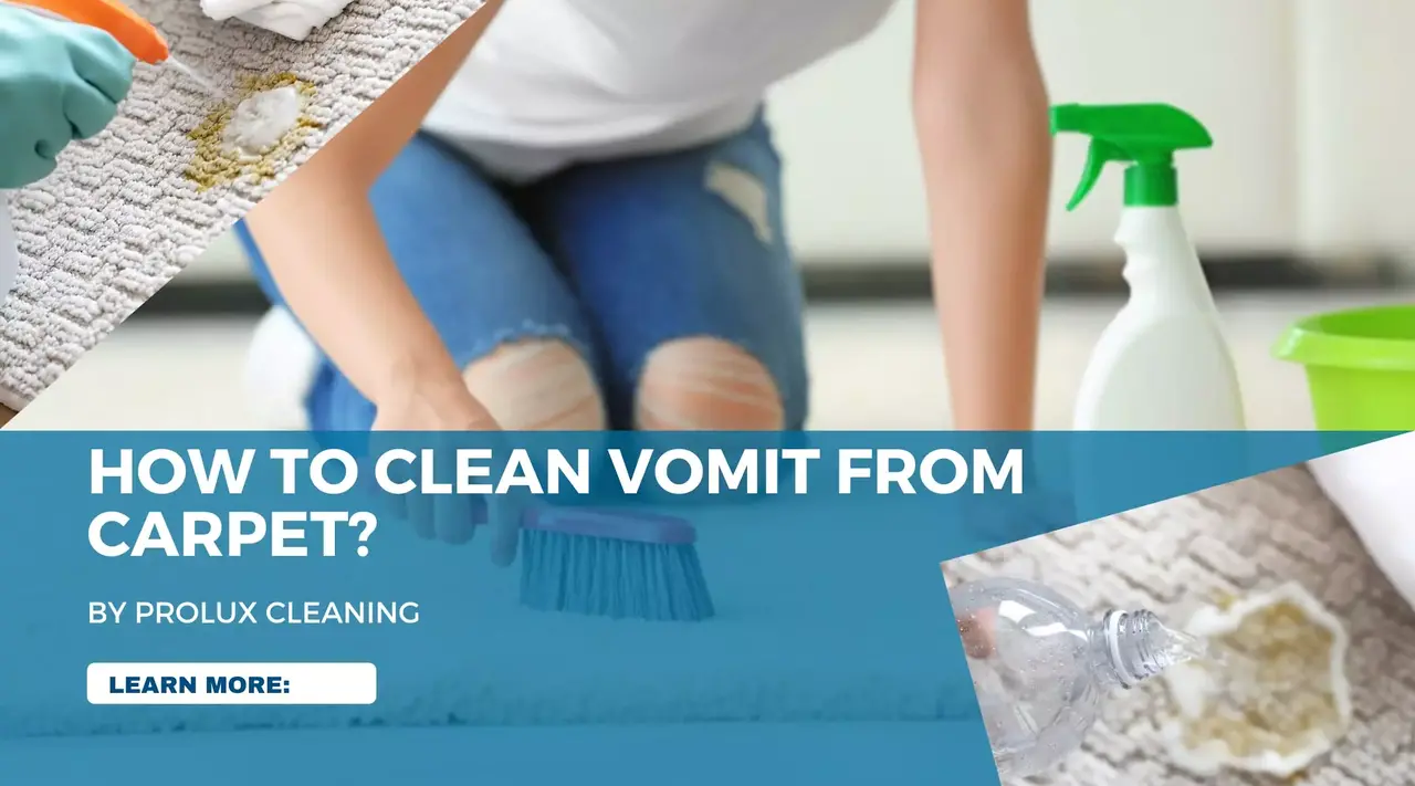 How to clean vomit from carpet
