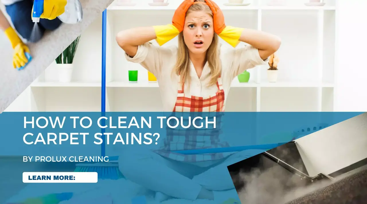 How to clean tough carpet stains Prolux Cleaning