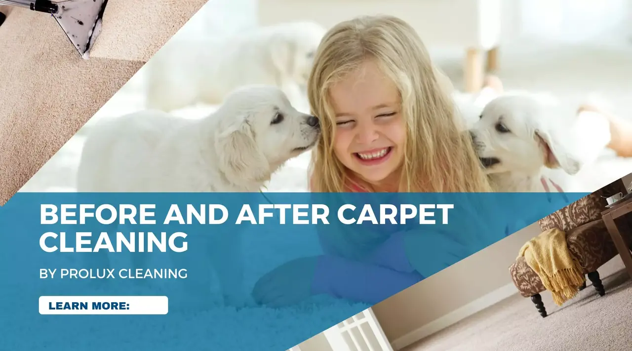 What to do before getting carpets cleaned