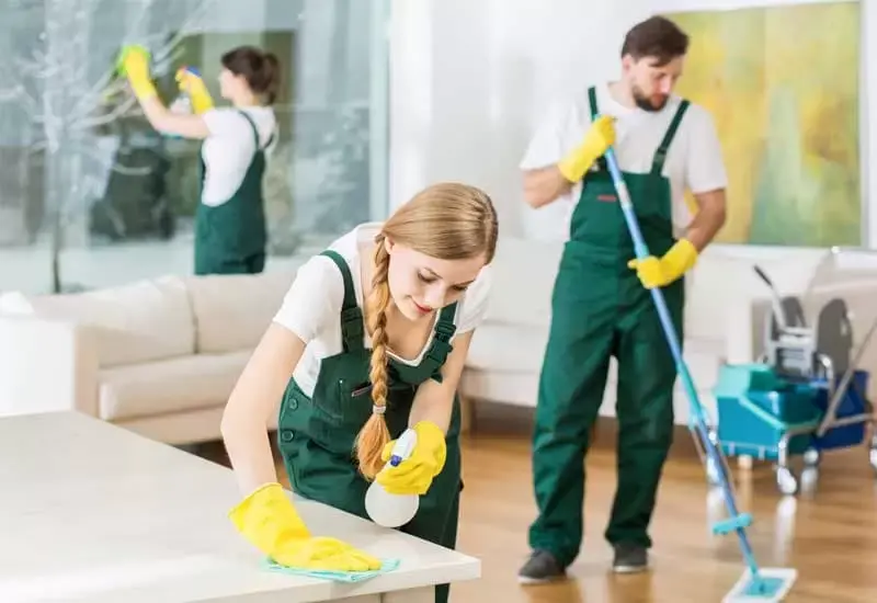 Professional house cleaning