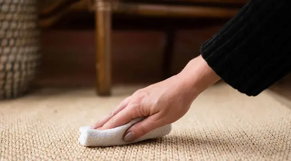 Sisal Rug Smell Solutions: Freshen Your Space