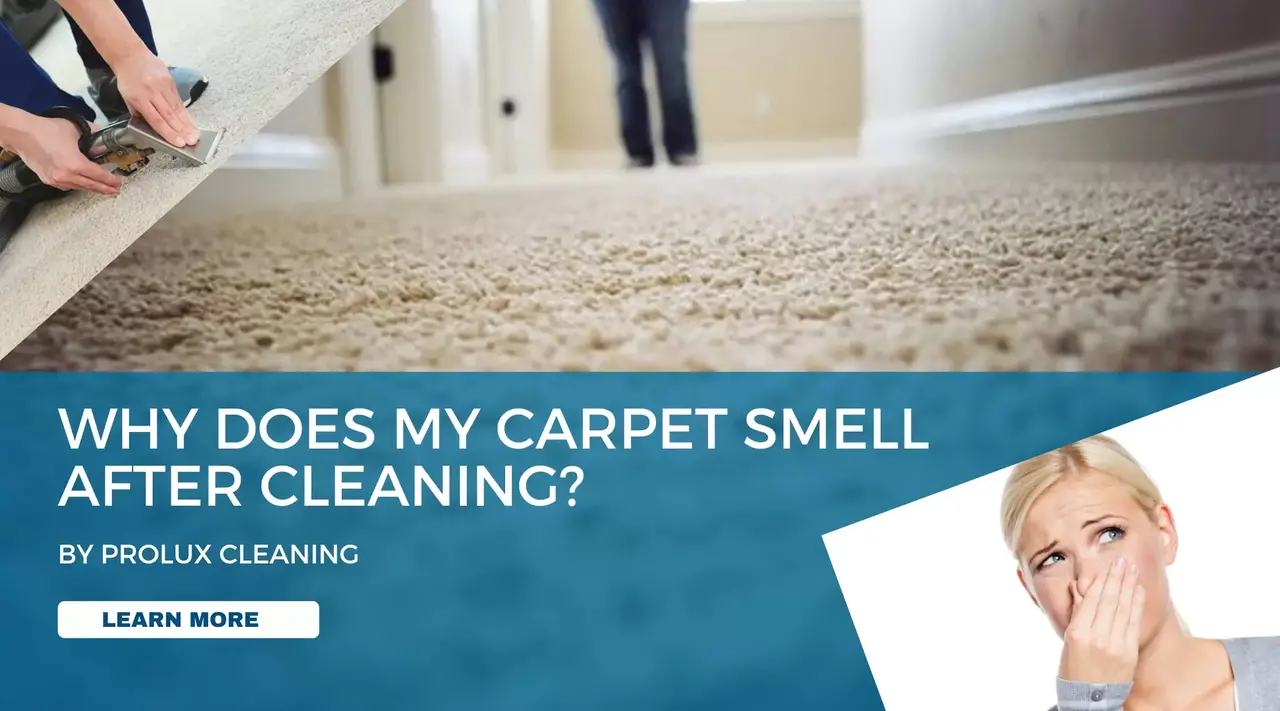 Why Does My Carpet Smell After Cleaning