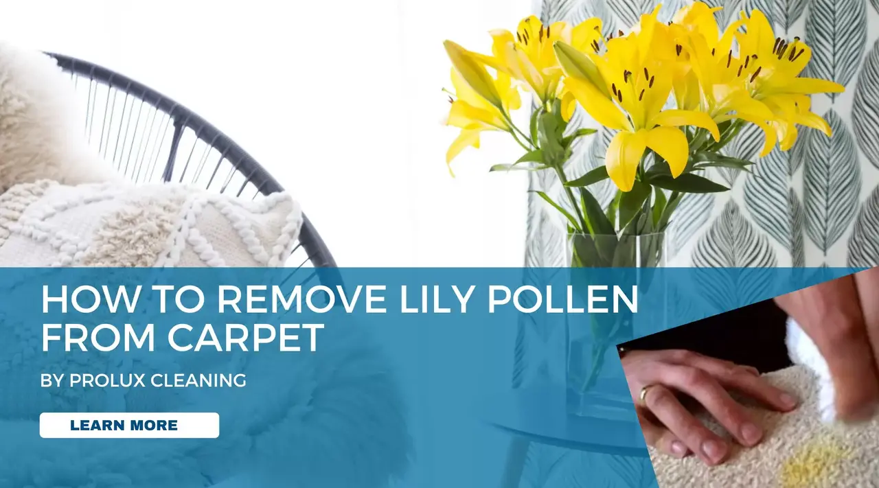 How to Remove Lily Pollen Stains from Carpet Quickly