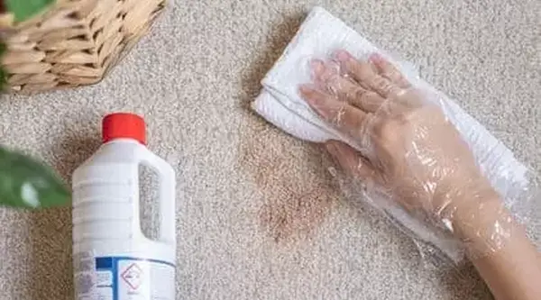 how to remove chewing tobacco stains from carpet How to Remove Gum from Carpet: Easy Step-by-Step Guide