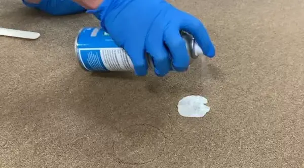 how to remove chewing tobacco stains from carpet How to Remove Gum from Carpet: Easy Step-by-Step Guide