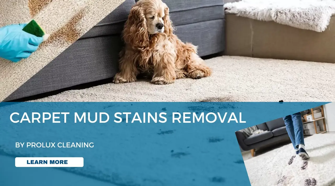 Carpet Mud Stains Removal