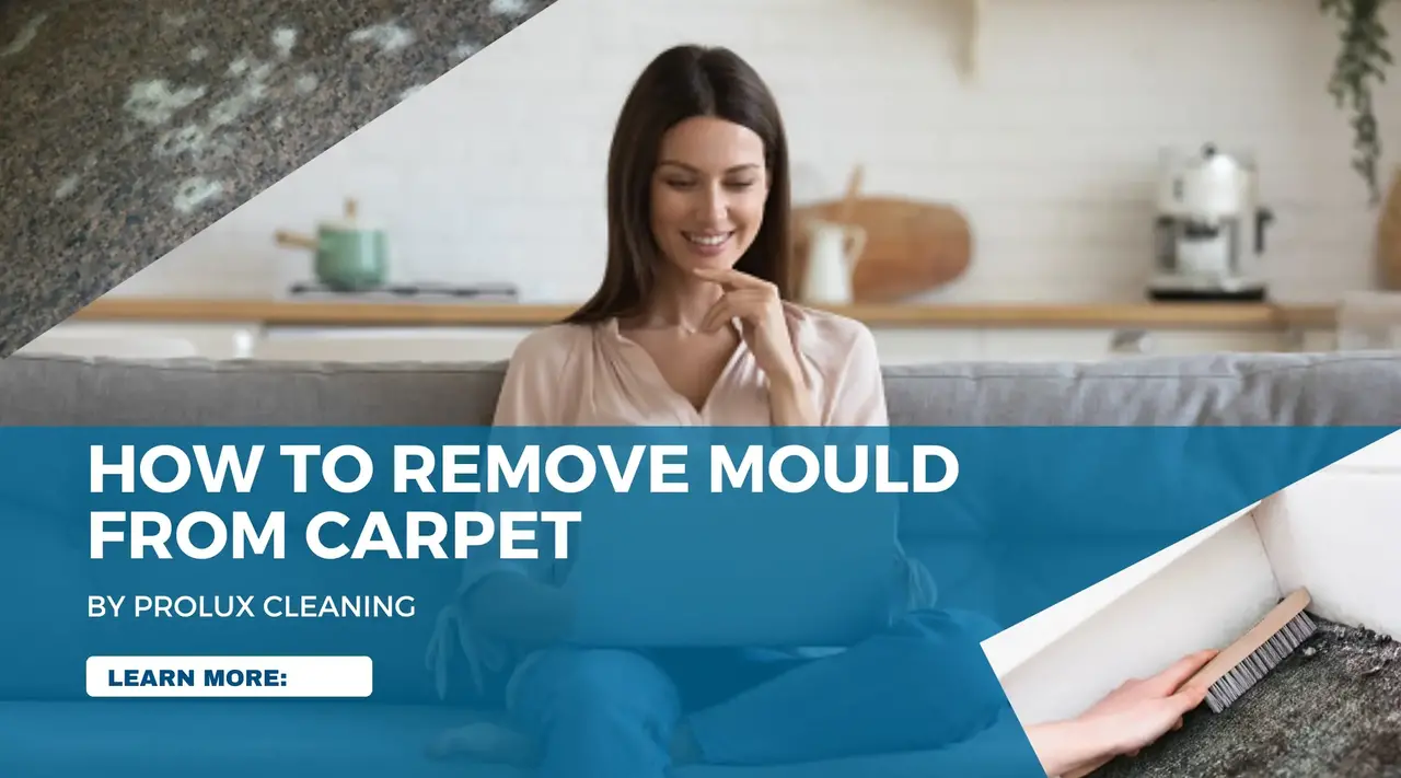 How to Remove Mould from Carpet: Safe & Effective Methods