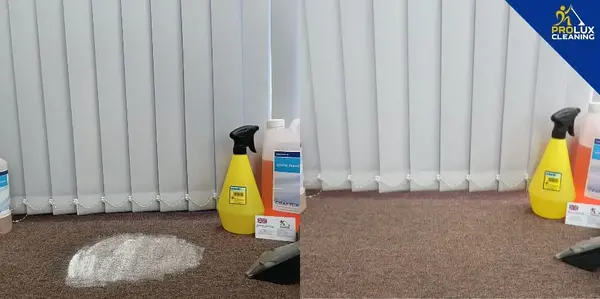 How to Remove Paint from Carpet - Crystal Carpet Cleaners