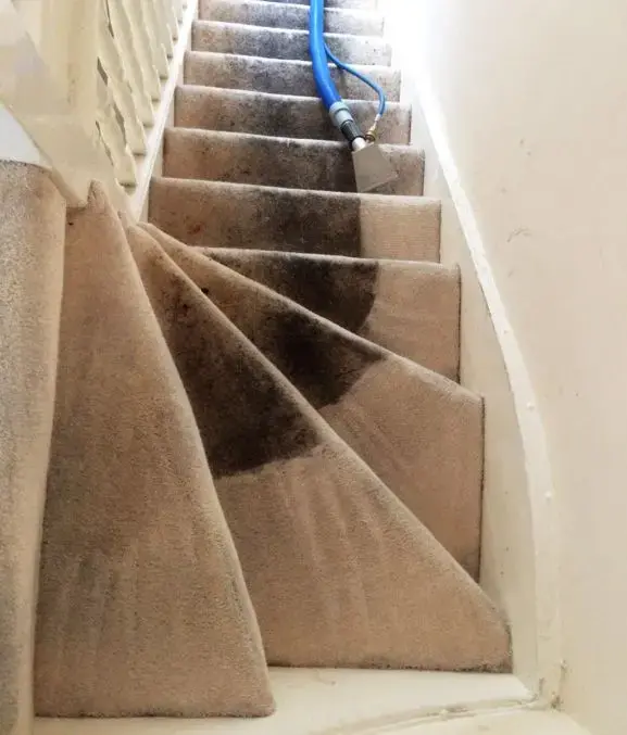 Staircase shop carpet cleaning