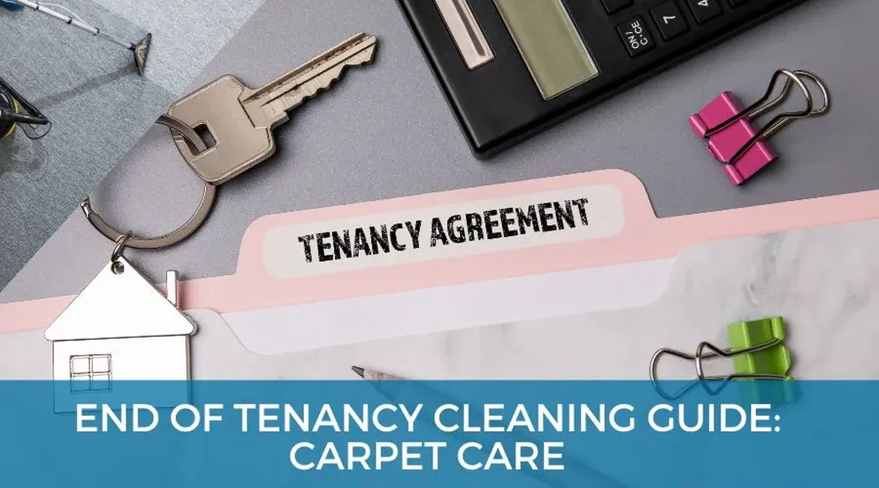End of Tenancy Carpet Cleaning Guide for Stain-Free Floors