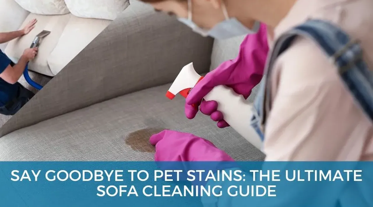 How to Remove Pet Stains and Odours from Your Sofa – Best Cleaning Tips