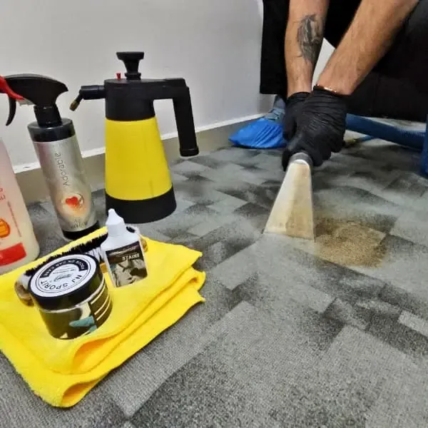 Carpet Cleaning Balham SW12 - ProLux Cleaning Company