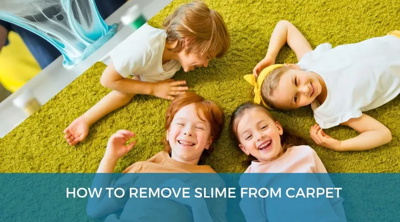 Step-by-Step Guide to Removing Slime from Carpet Effectively